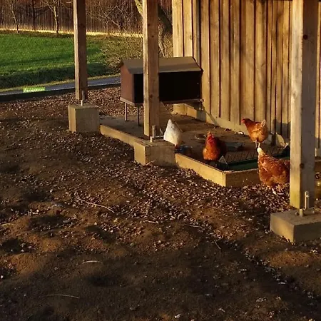 Ferienhaus Zillendorf Hébergement de vacances
