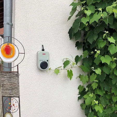 Ferienhaus Zillendorf Hébergement de vacances Zillendorf